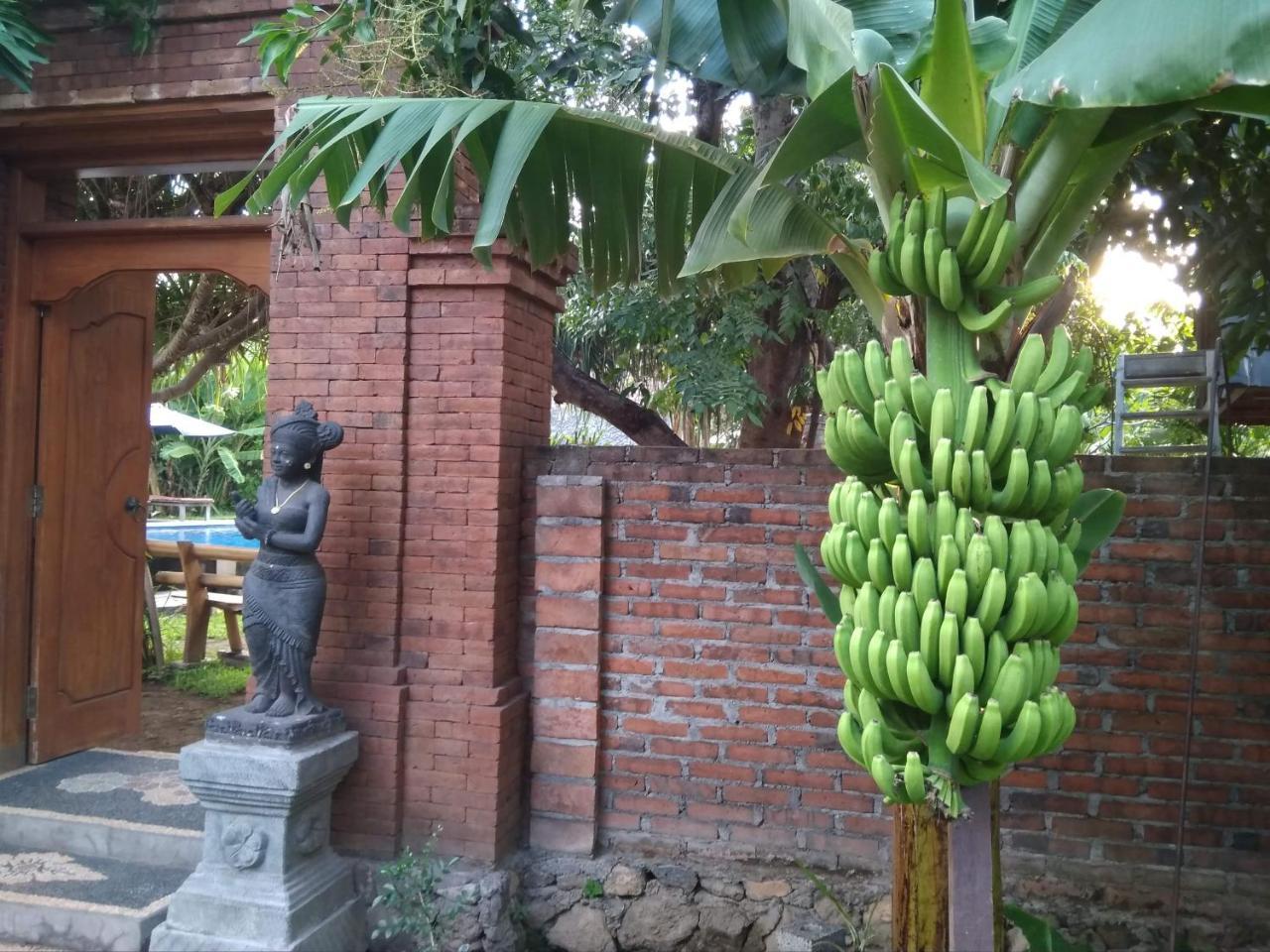 Suka Sari Cottages Pemuteran  Exterior photo